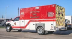 little-elm_0004_5