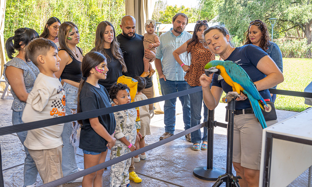 Zoo Trip Impact v1